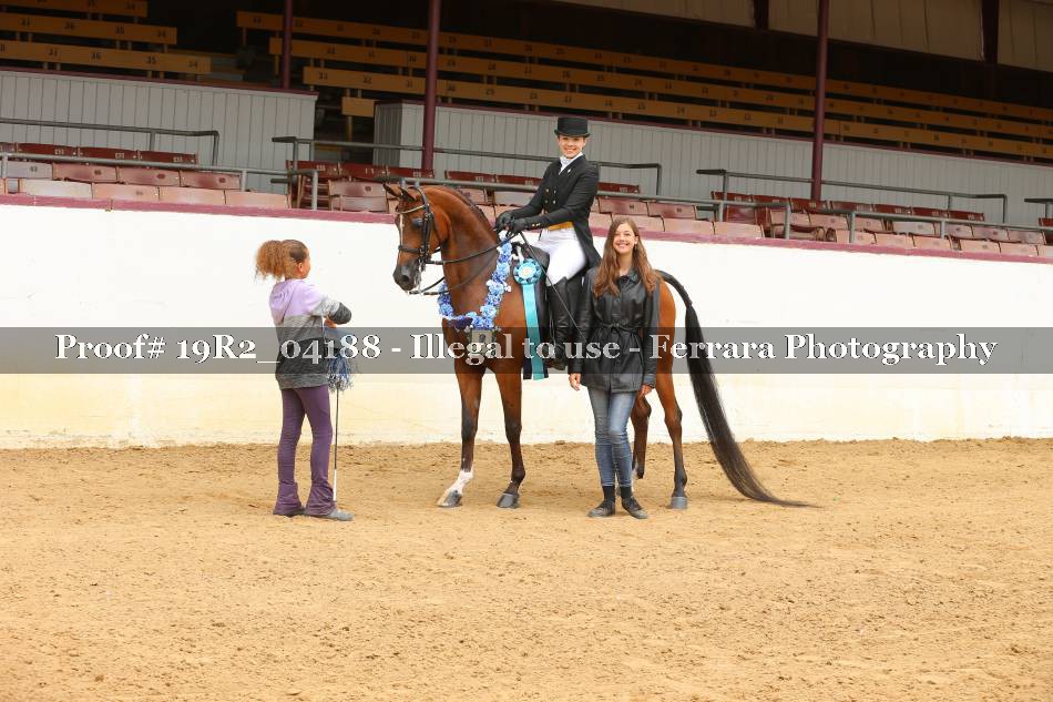 Proof 19R2_04188