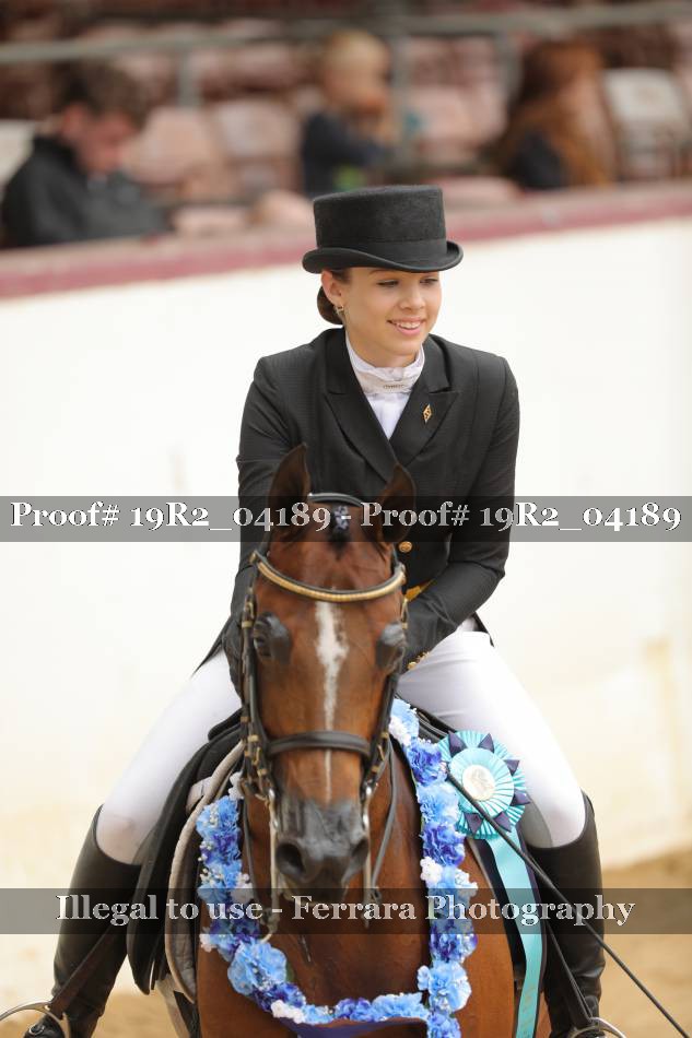 Proof 19R2_04189