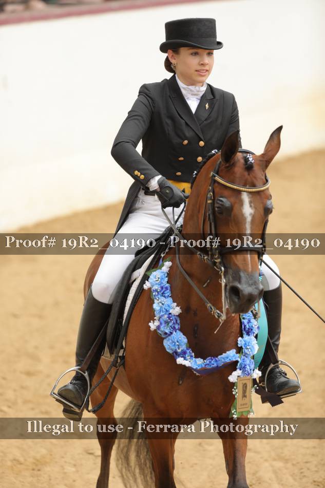 Proof 19R2_04190