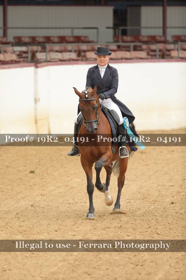 Proof 19R2_04191