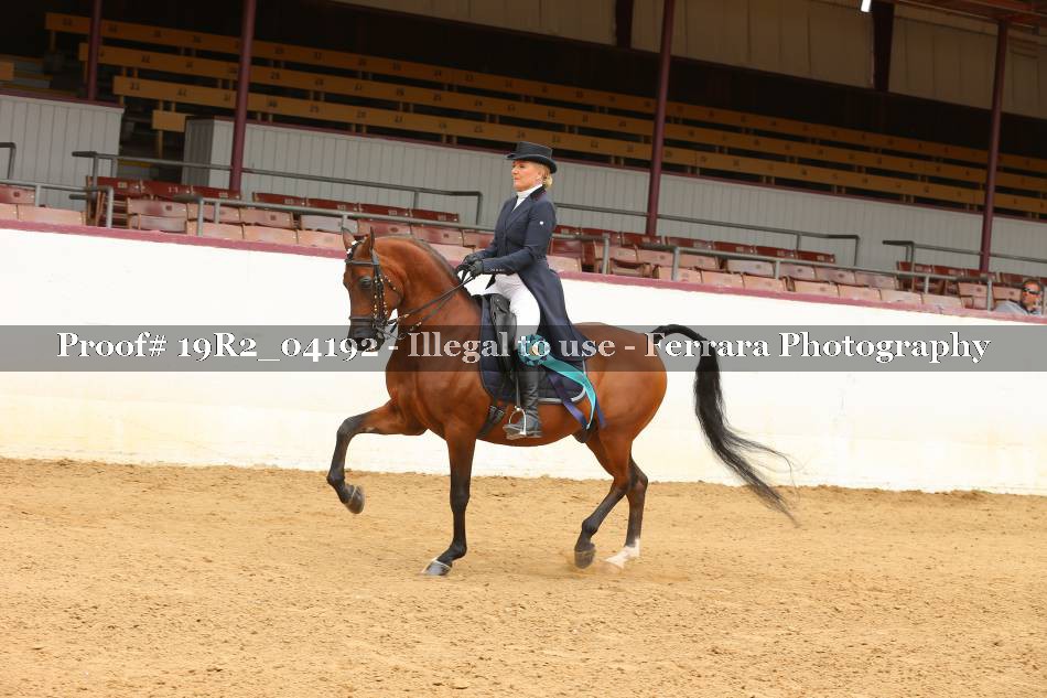 Proof 19R2_04192