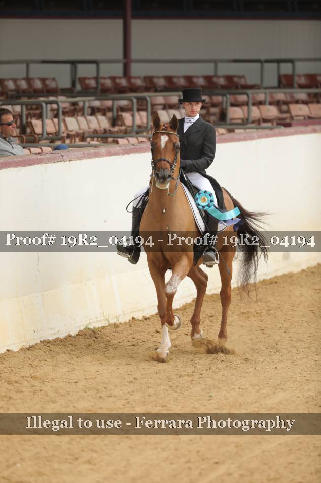 Proof 19R2_04194