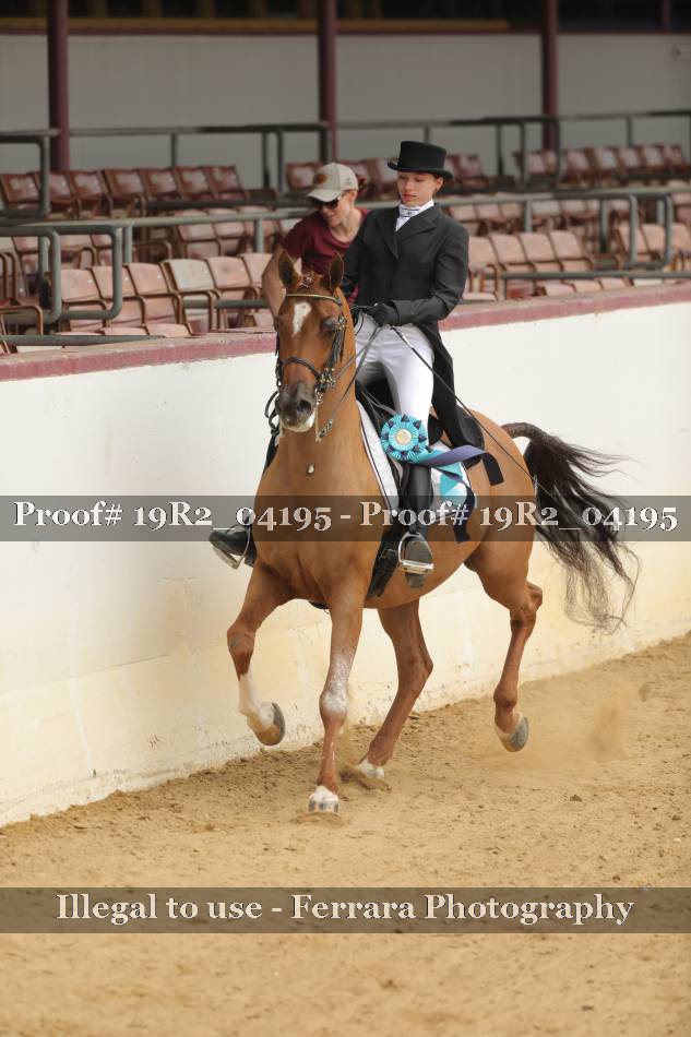 Proof 19R2_04195