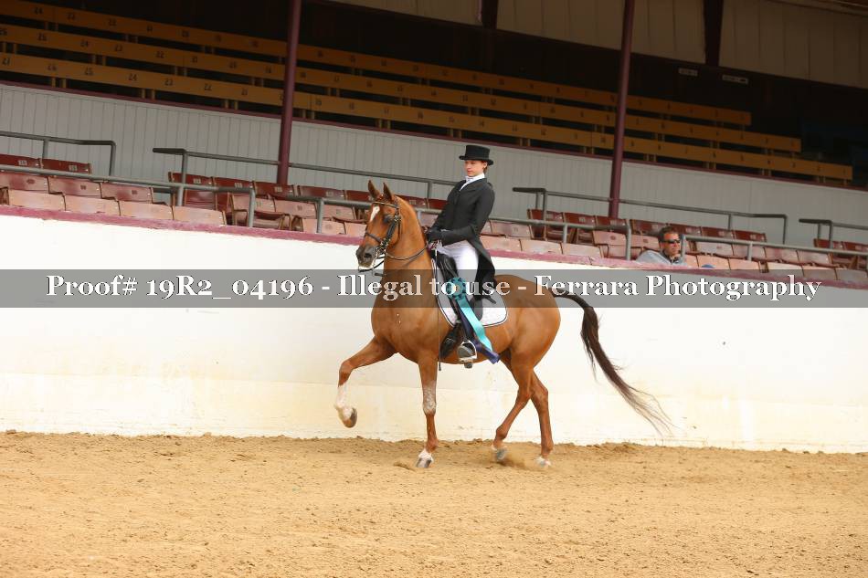 Proof 19R2_04196