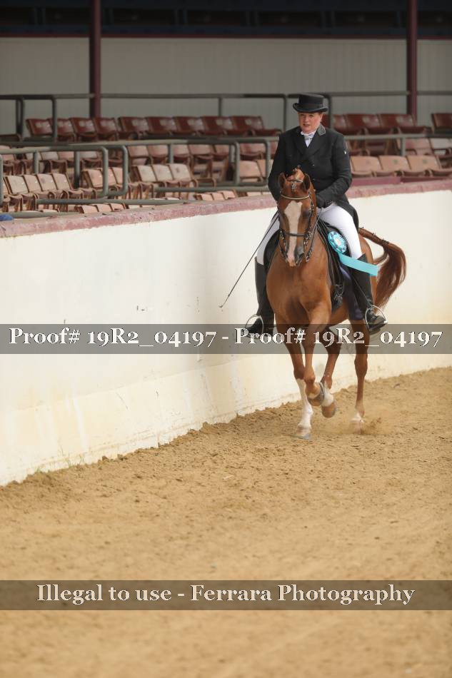 Proof 19R2_04197