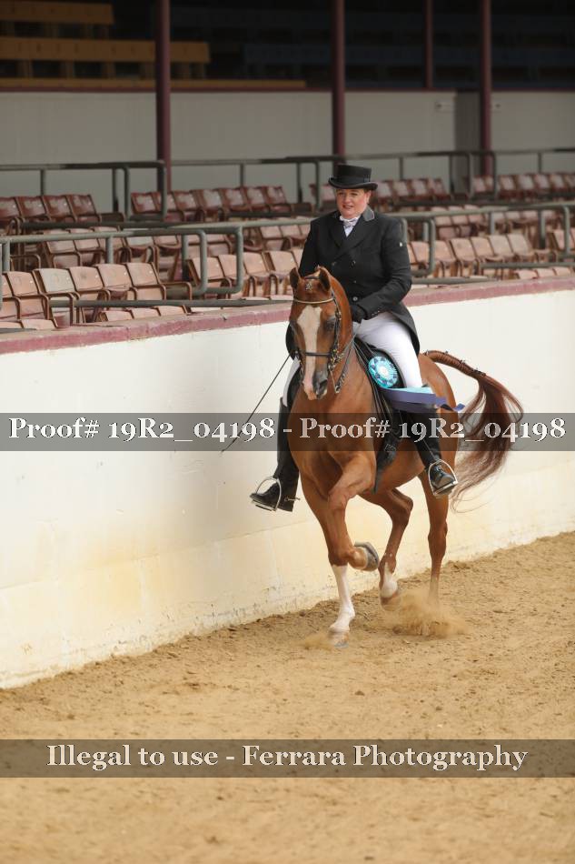 Proof 19R2_04198