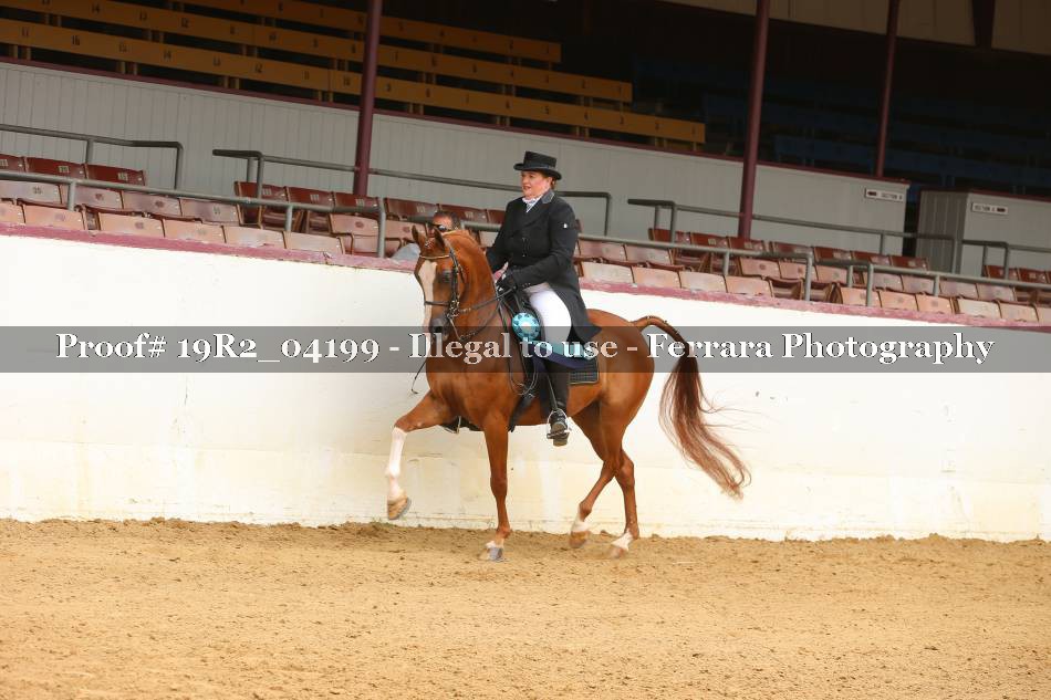 Proof 19R2_04199