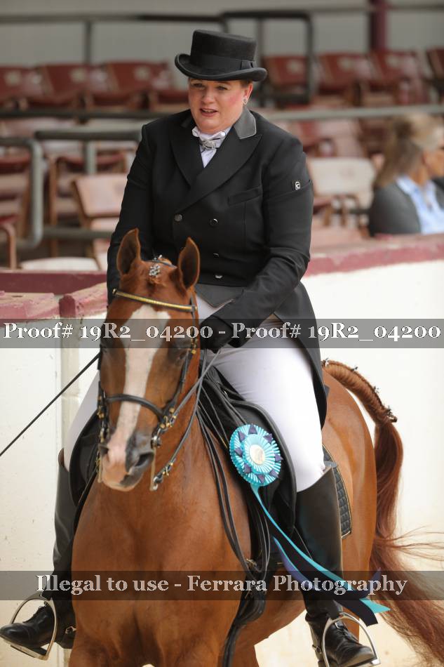 Proof 19R2_04200