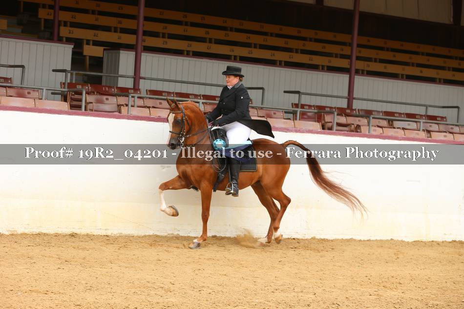 Proof 19R2_04201