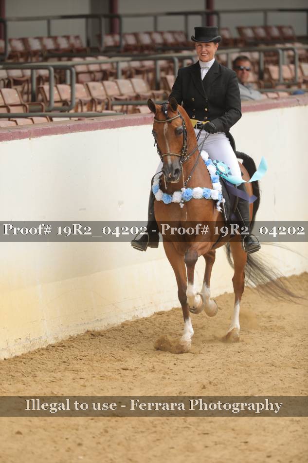 Proof 19R2_04202