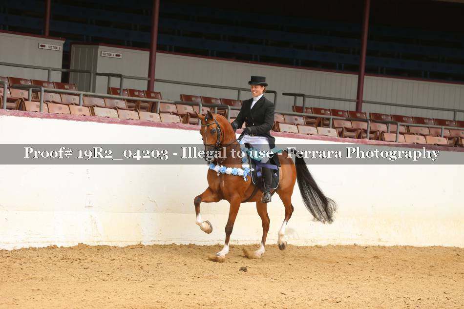 Proof 19R2_04203