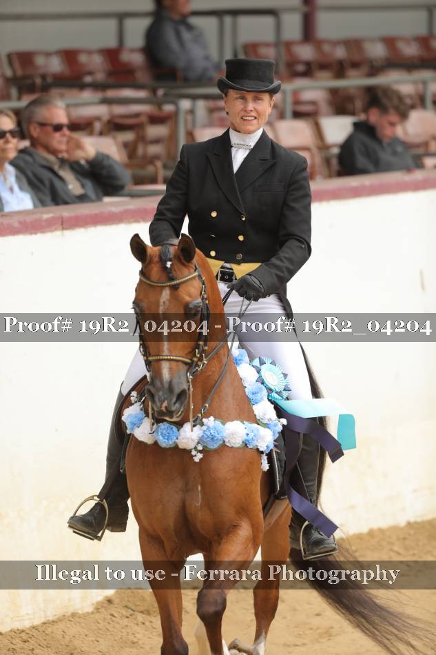 Proof 19R2_04204
