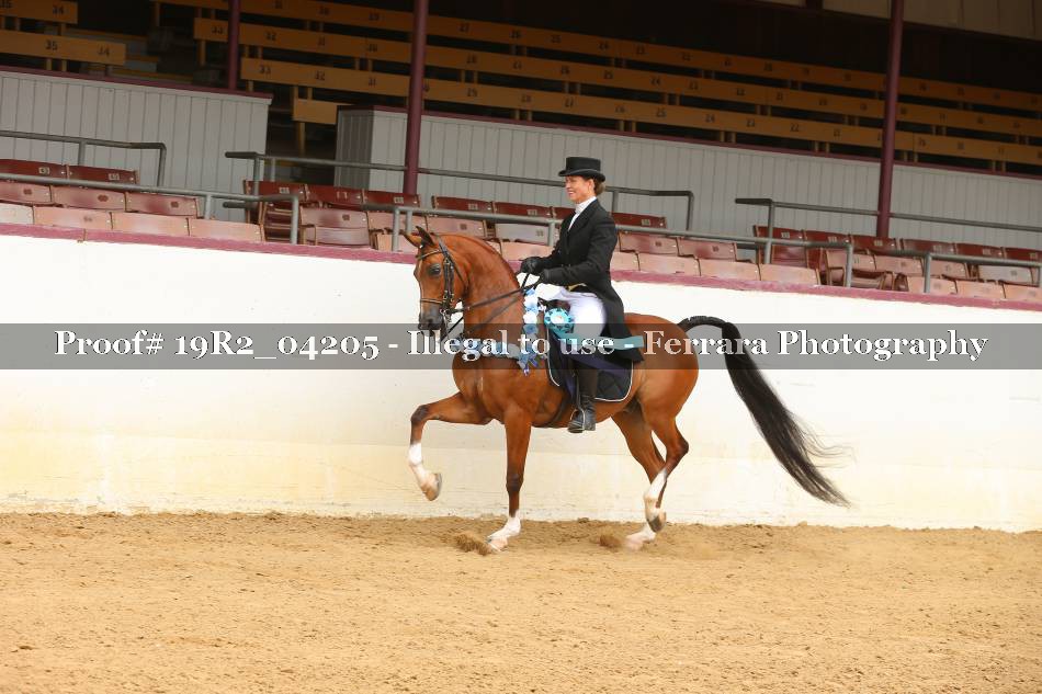 Proof 19R2_04205