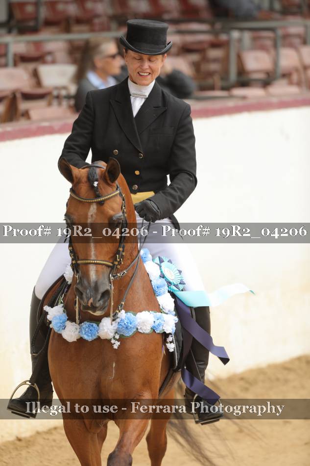 Proof 19R2_04206