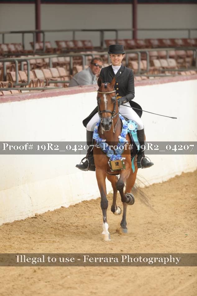 Proof 19R2_04207