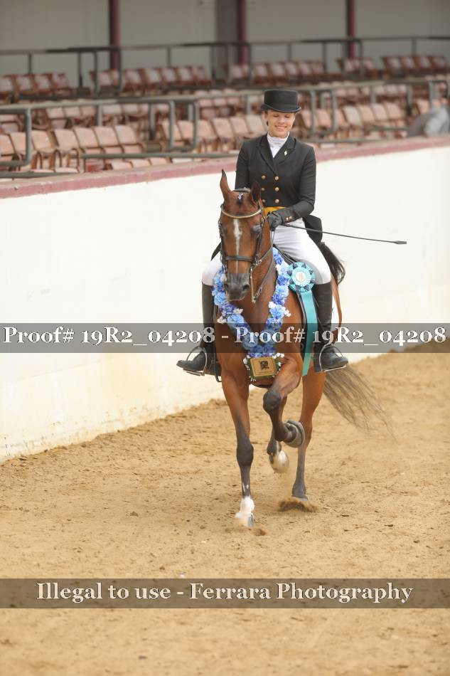 Proof 19R2_04208