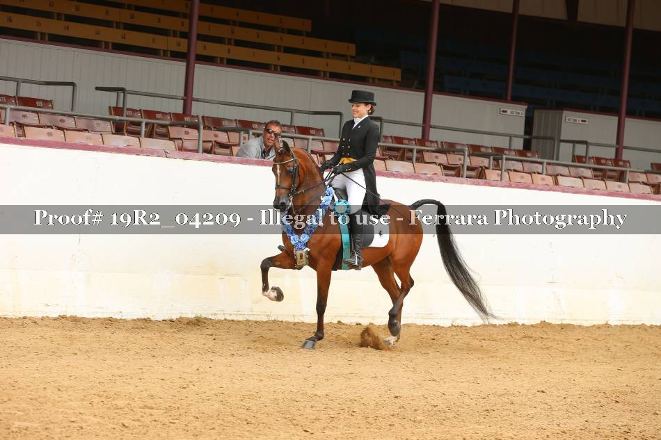 Proof 19R2_04209