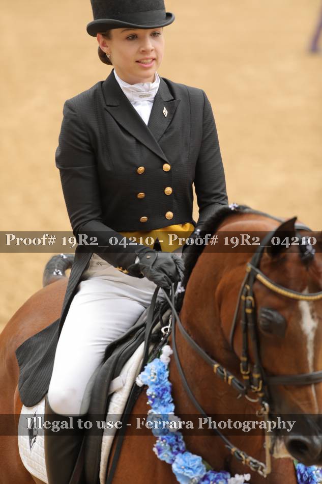 Proof 19R2_04210