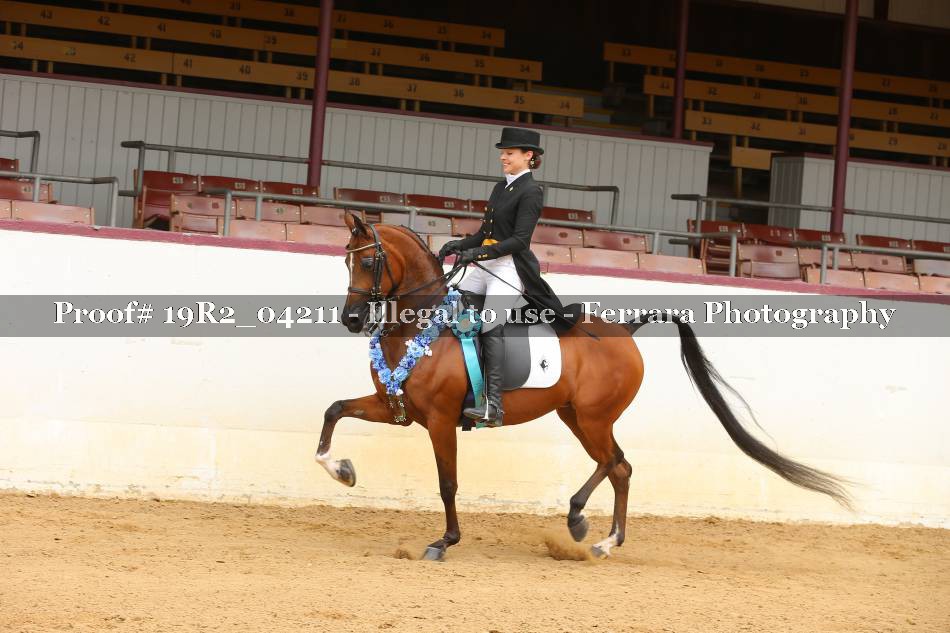 Proof 19R2_04211