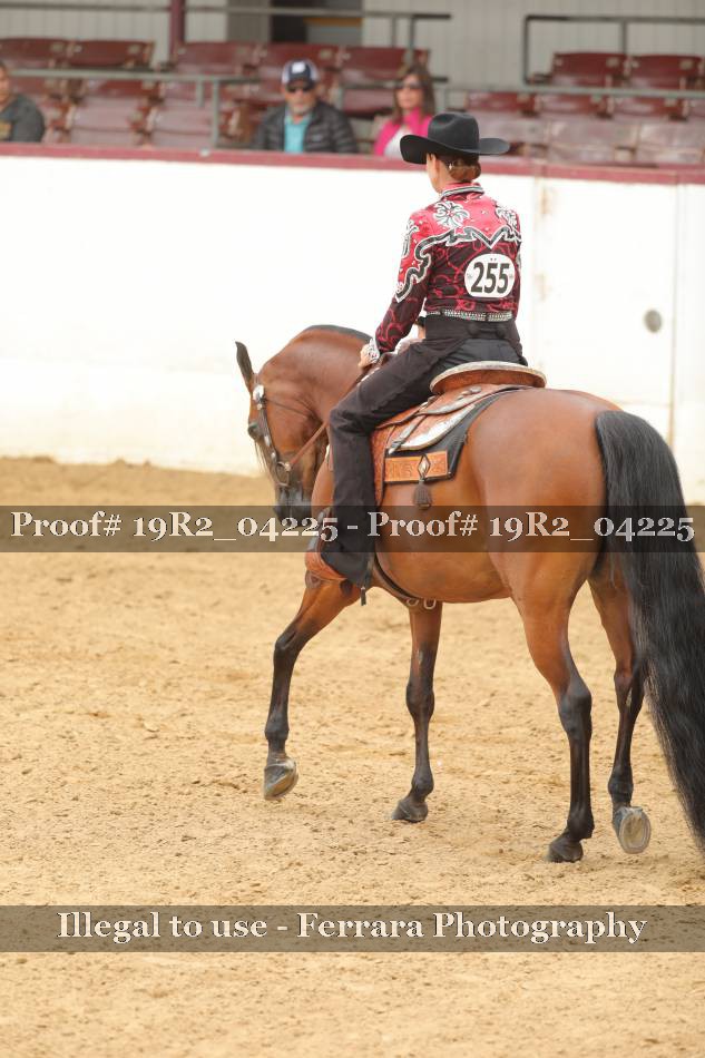 Proof 19R2_04225