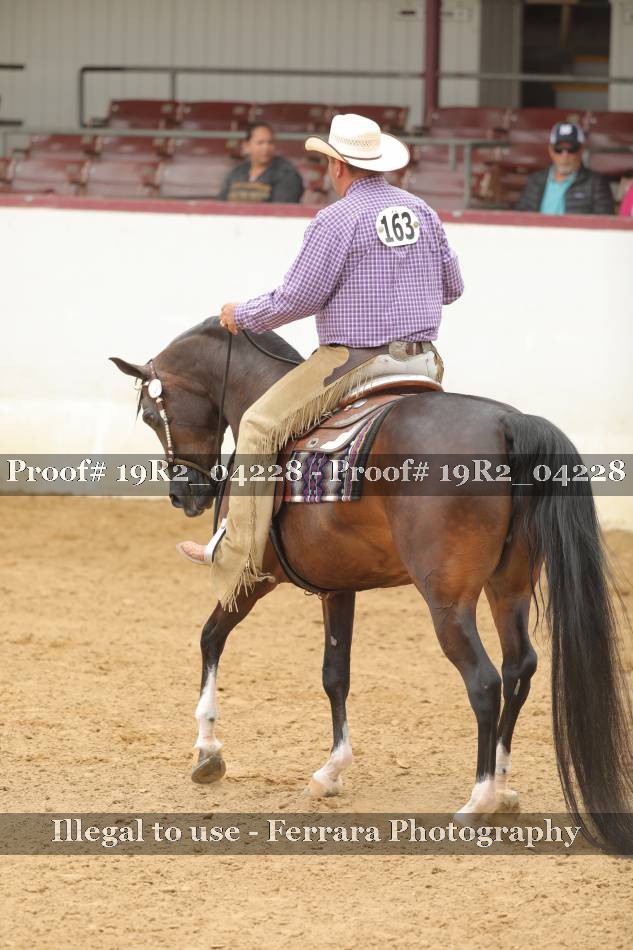 Proof 19R2_04228
