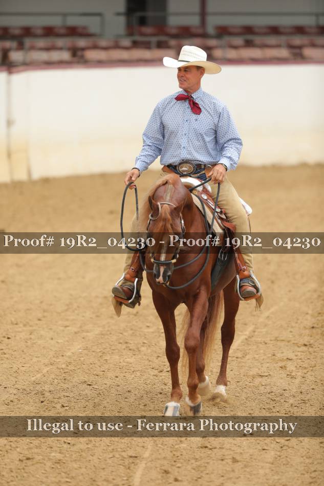 Proof 19R2_04230