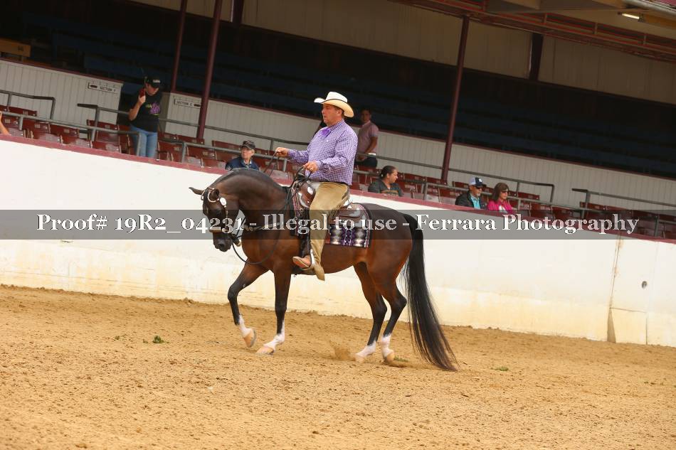 Proof 19R2_04231