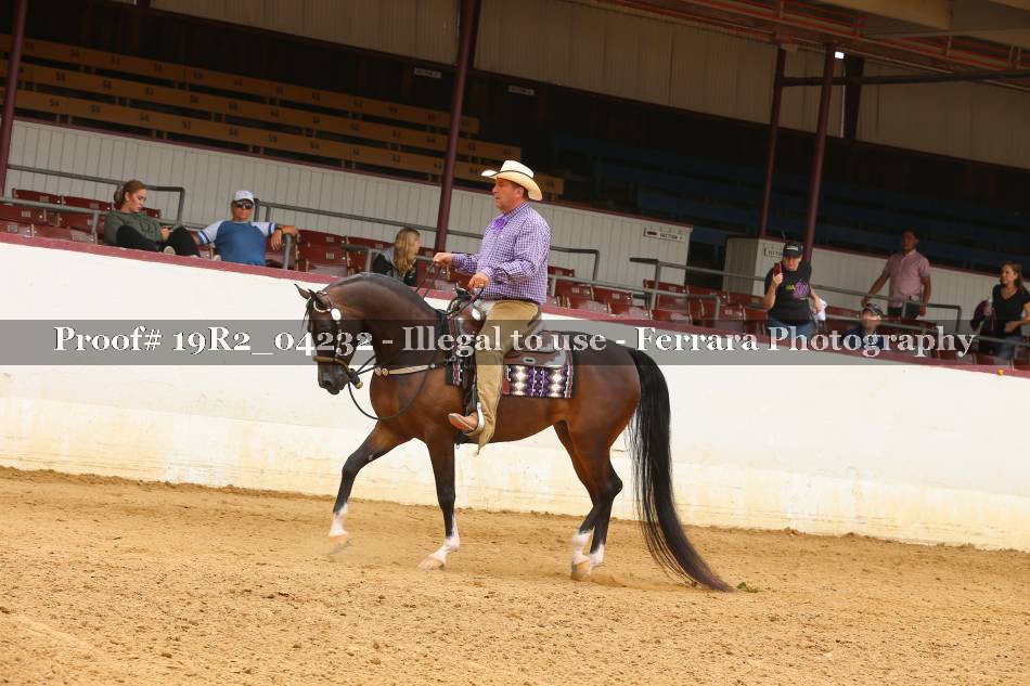Proof 19R2_04232