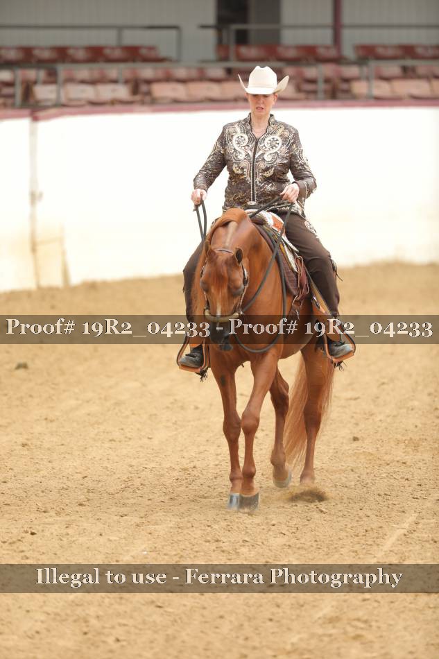 Proof 19R2_04233