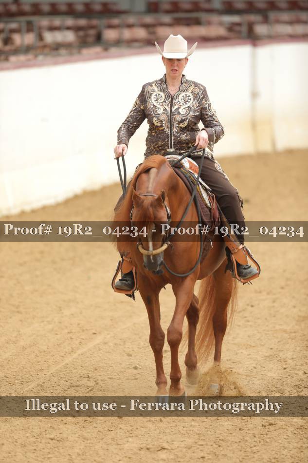 Proof 19R2_04234