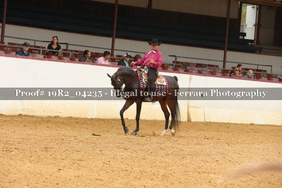 Proof 19R2_04235