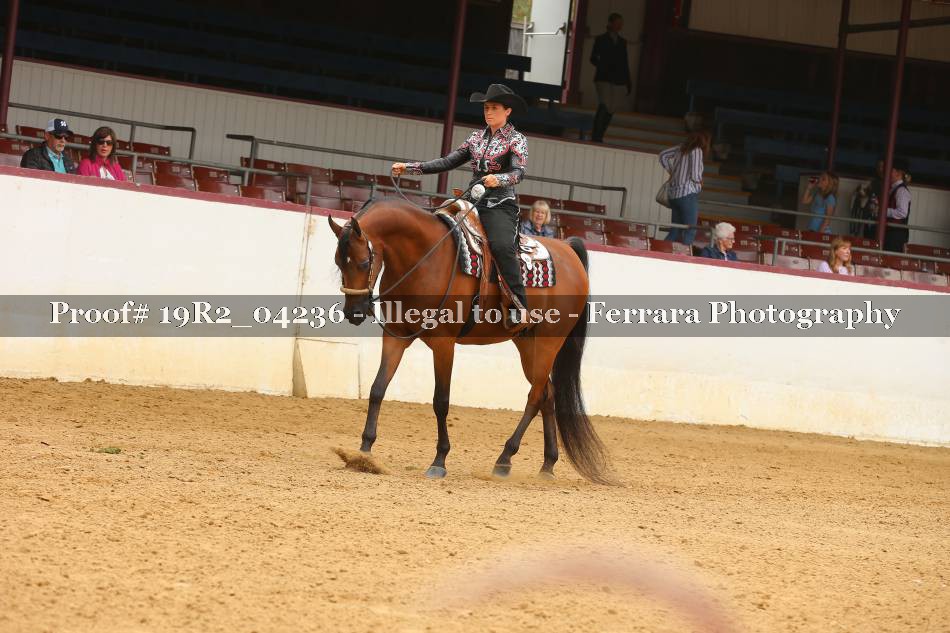 Proof 19R2_04236