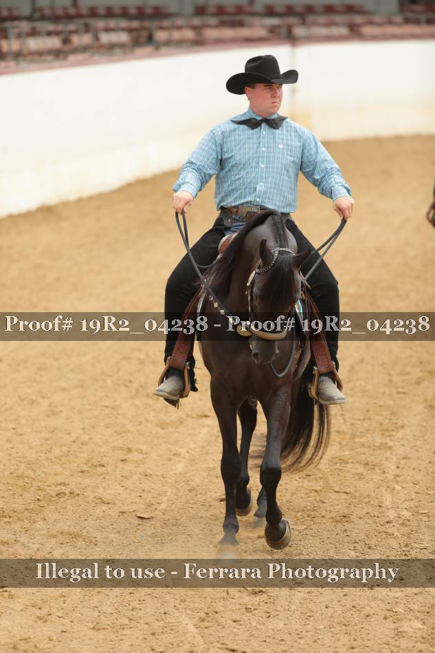 Proof 19R2_04238