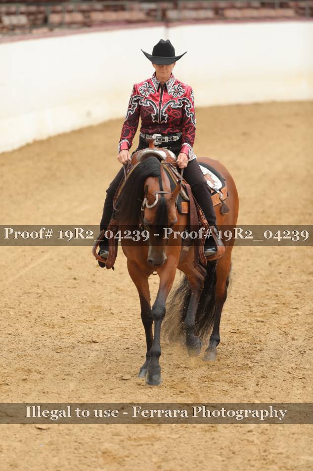 Proof 19R2_04239