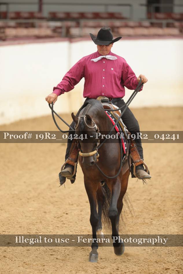 Proof 19R2_04241
