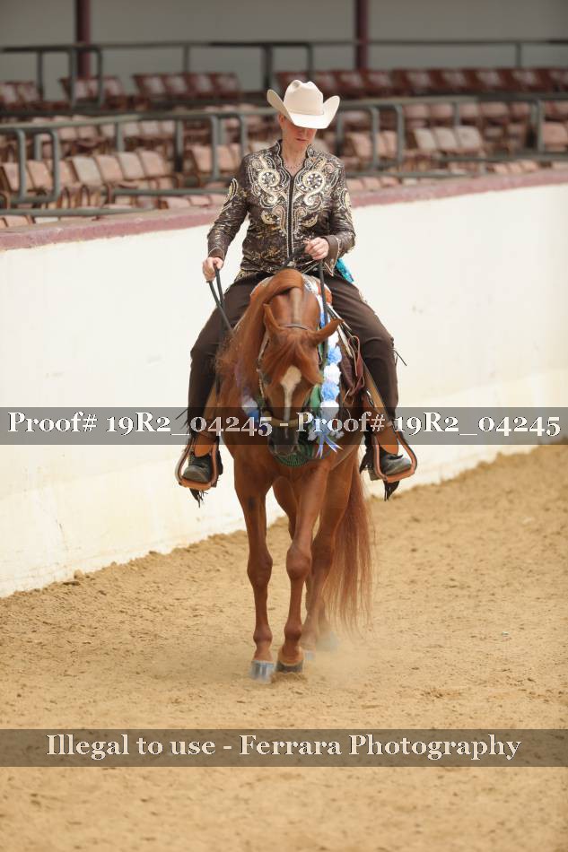 Proof 19R2_04245