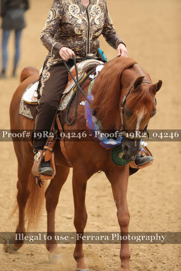 Proof 19R2_04246