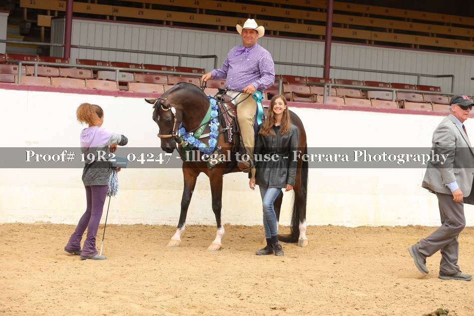 Proof 19R2_04247