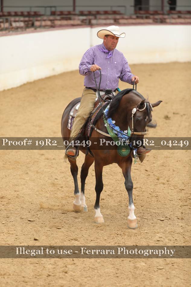 Proof 19R2_04249