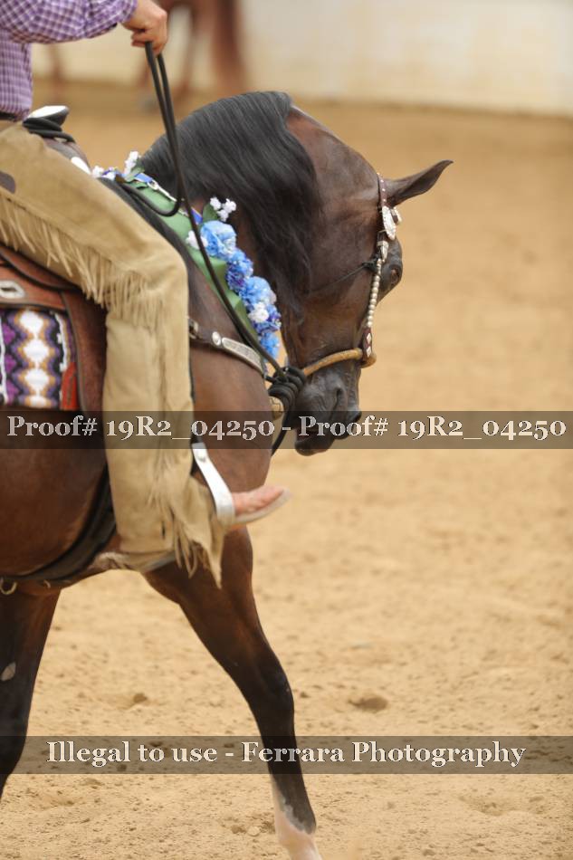 Proof 19R2_04250