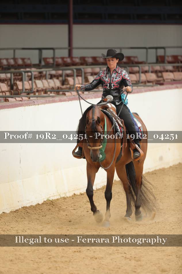 Proof 19R2_04251