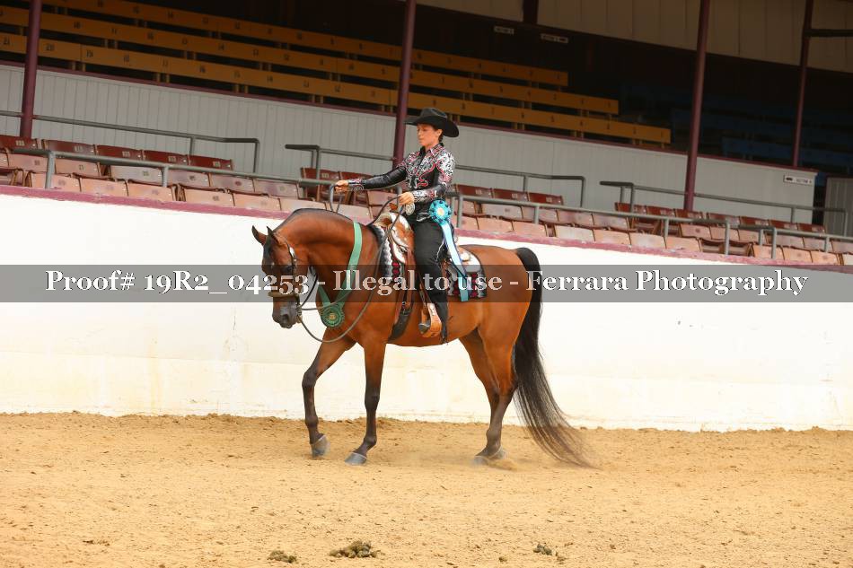 Proof 19R2_04253