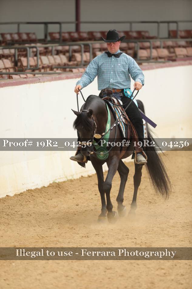 Proof 19R2_04256
