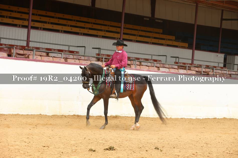 Proof 19R2_04260