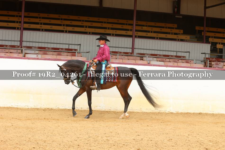 Proof 19R2_04261