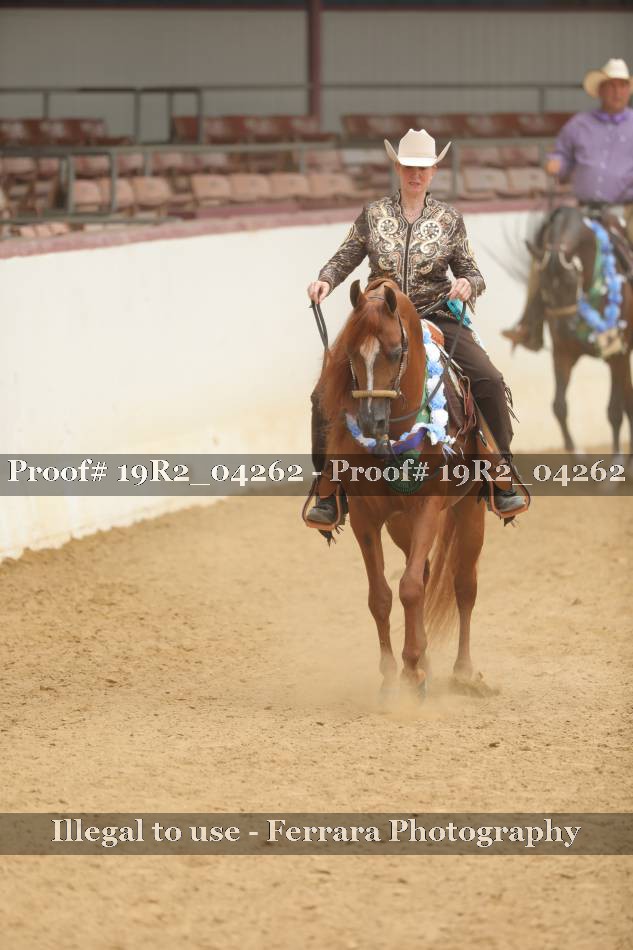 Proof 19R2_04262