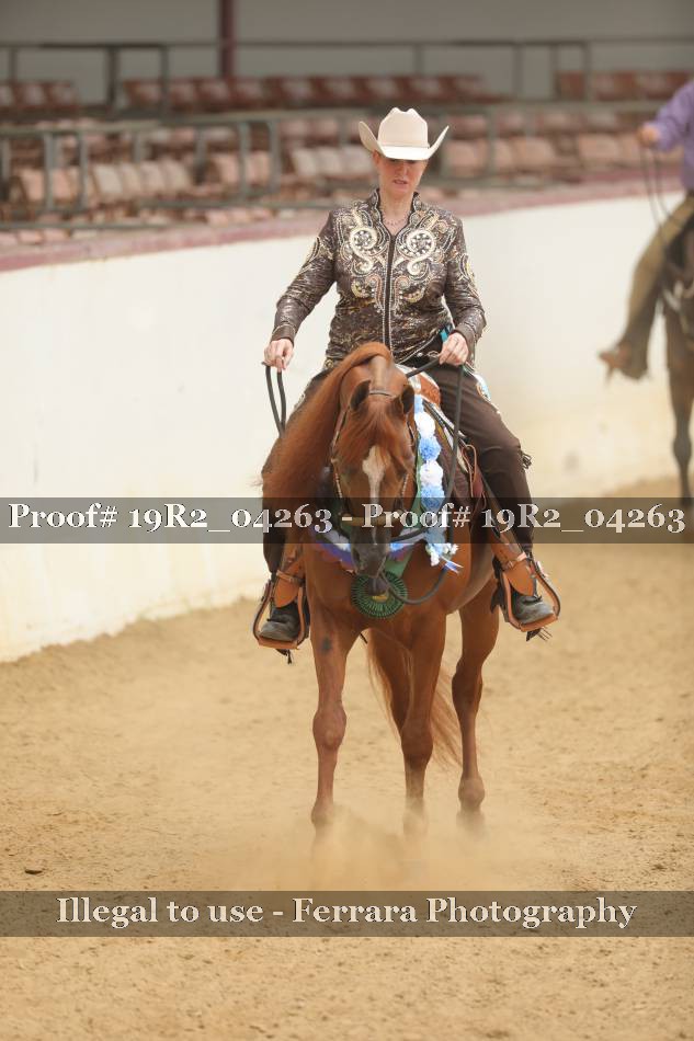 Proof 19R2_04263