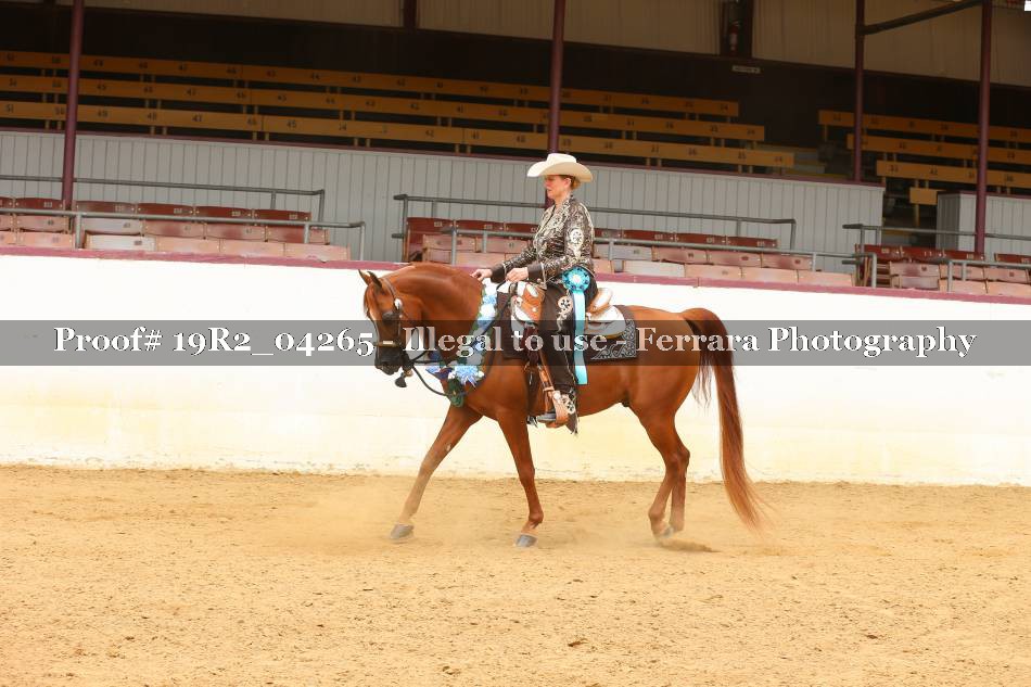 Proof 19R2_04265