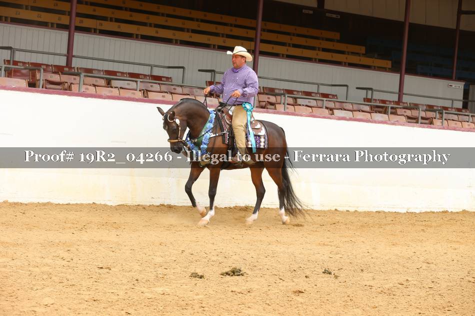 Proof 19R2_04266