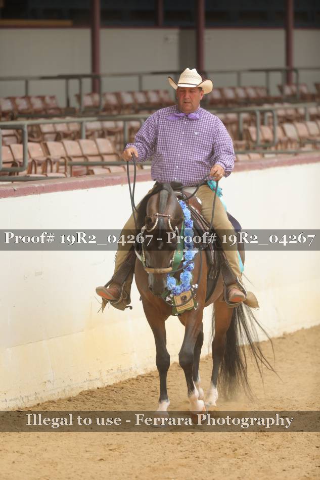 Proof 19R2_04267